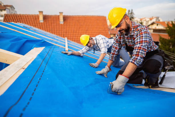 Best Roof Leak Repair  in Enterprise, WV